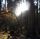 Hotel Fleischerei Schneider - Jagd Herleshausen